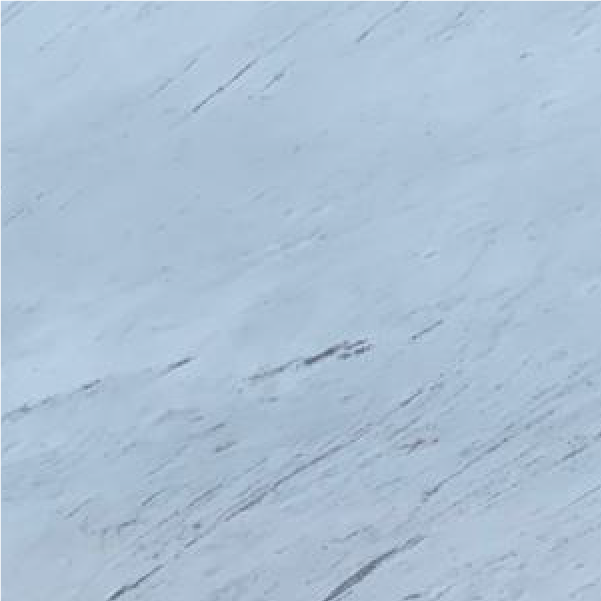Bianco Svec